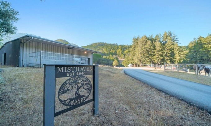 Gilroy House | Enchanted Redwood Retreat Nature Suite
