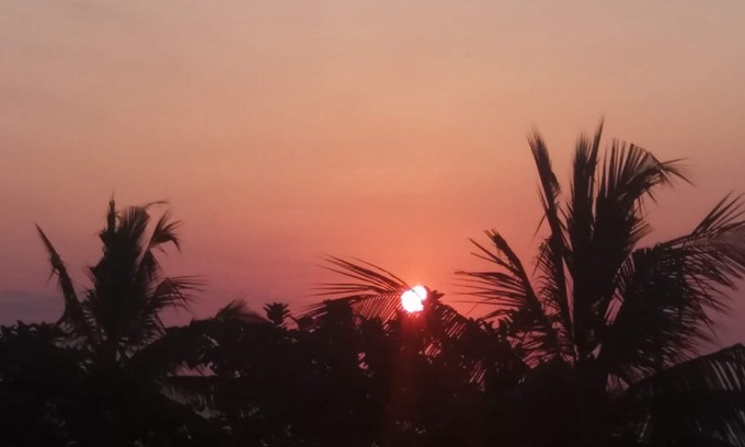 Mafia Island Hotel | Enjoy to to stay Mafia beach resort