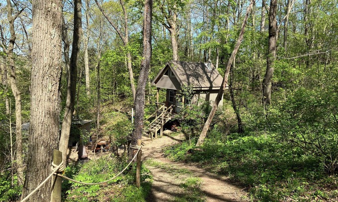 Negley Cabin | Enjoyable 2-bed cabin in Negley