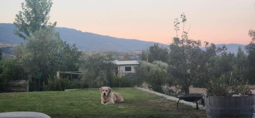 Bannockburn House | Ensuite in The Heart Of The Desert