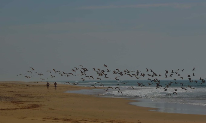 Sahel Chamali Cottage | ENTIRE APARTMENT IN FRONT OF THE ATLANTIC, VIRGIN BEACHES, RURAL MOROCCO