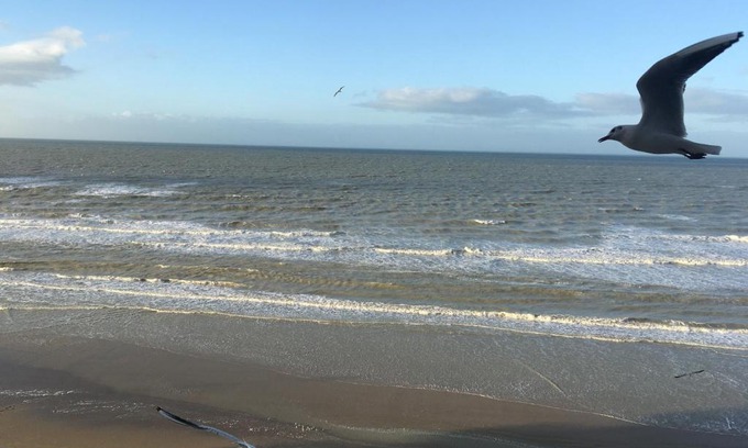 Bray-Dunes Apartment | Entre dunes et mer