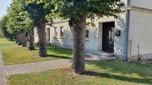 Milow Apartment | Entspanntes Wohnen Deibow