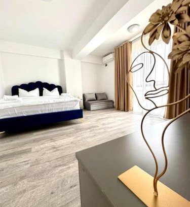 Craiova Apartment | Erwin s Studio Sky View