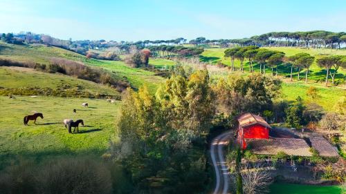 Cassia House | Escape to Comfort, Relax, and Love in Rome - Luxury Agriturismo 5 Suites