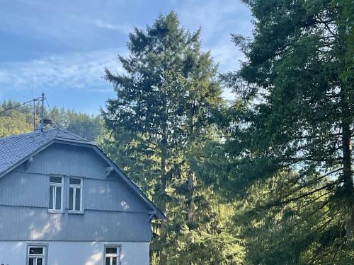 Weilrod Apartment | Etzauer Mühle Suite