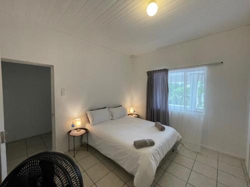 Alexandria Bed & Breakfast | Evergreen Avocado Orchard