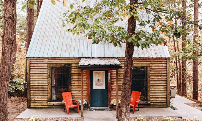 Carbon Hill Cabin | Evergreen Hideaway is a cabin nestled under tall pines.