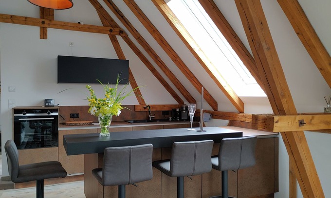 Cortendorf Apartment | Exclusive studio apartment with roof terrace and view of the Veste in the Cortendorfer Stadel