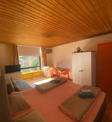 Peterstal Apartment | Exklusive Ferienwohnung MIRO 25 m² in ruhiger Lage