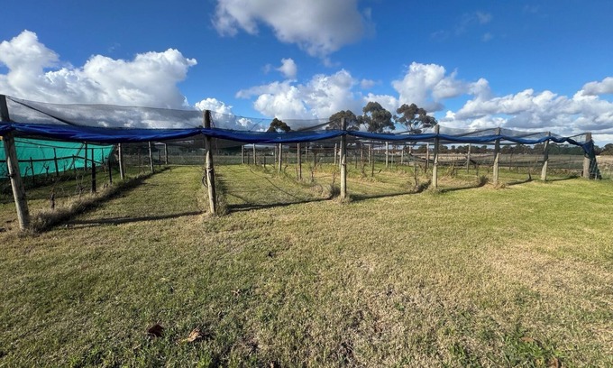 Diggers Rest Other | Farm Stay, feed sheep and relax close to airport