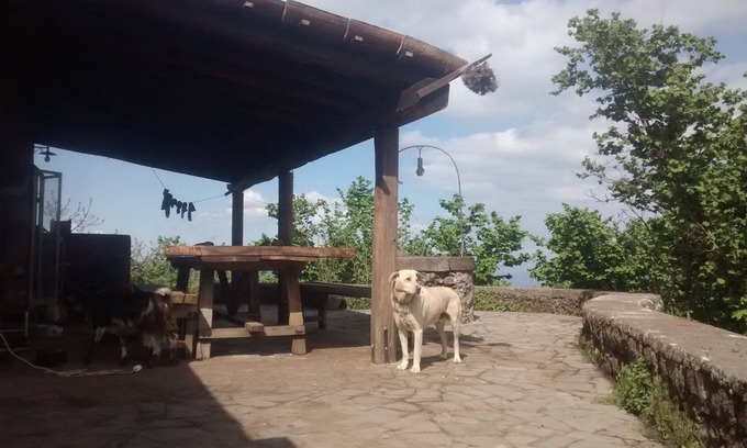 Sant'Alfio Other | Farmhouse the caraffara from agriculture up to 800 in stone