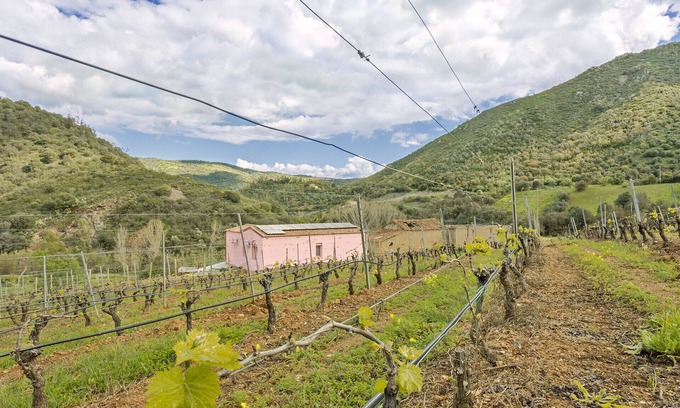 Jerzu House | Farmhouse tra i vignetti del Cannonau di Jerzu