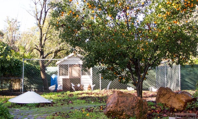 Pickering Brook Cottage | Farview Guest Accommodation