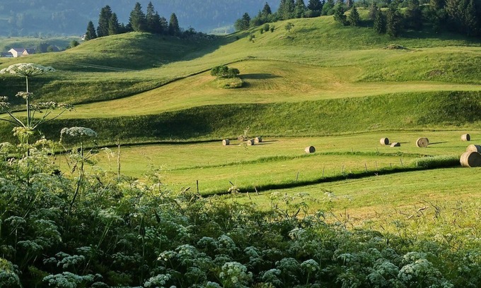 Saint-Pierre Apartment | Fenoula gîte in an old farmhouse in the Haut-Jura near the lakes