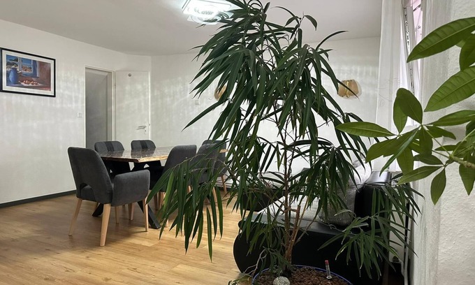 Nidderau Apartment | Ferien Haus Formidable