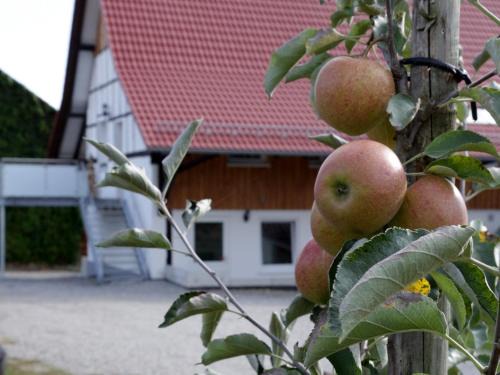 Waggershausen Apartment | Ferienhof Waggershauser