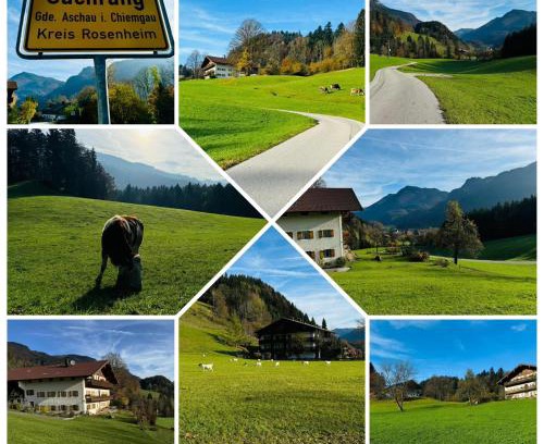 Aschau im Chiemgau Apartment | Ferienwohnung Alpenglück