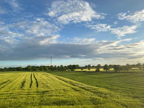 Elsterheide Apartment | Ferienwohnung Bock im Seenland