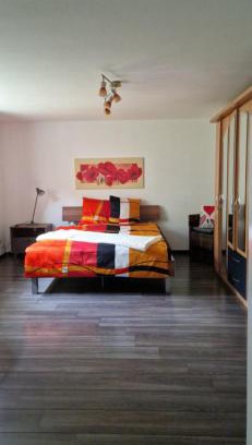 Triesen Apartment | Ferienwohnung FeWe Wandern und Skifahren