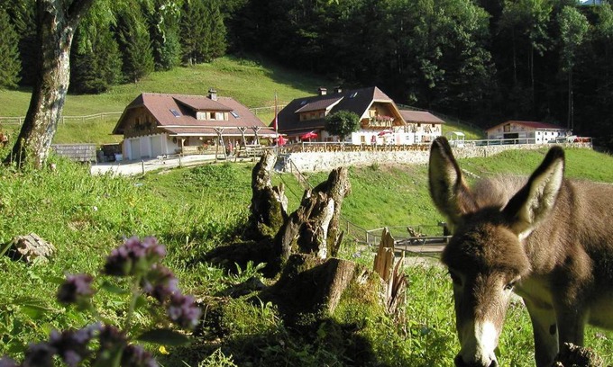 Traunkirchen House | Ferienwohnung Hochsteinalm