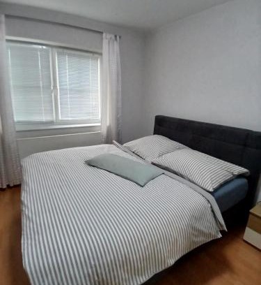 Frankenberg Apartment | Ferienwohnung Röddenau