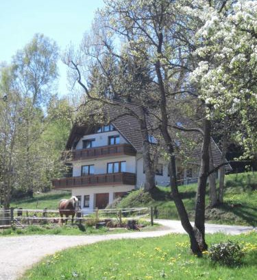 Sankt Georgen im Schwarzwald Apartment | Ferienwohnung Ursprung