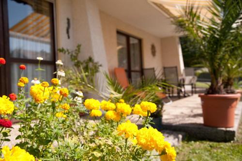 Bobrach Apartment | Ferienwohnung Völkl