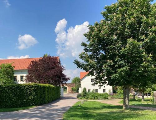 Kobelsdorf Apartment | Ferienwohnung Zweinig02