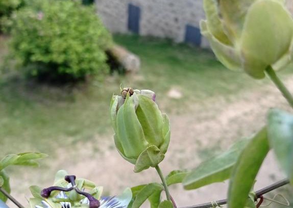 Boulieu-les-Annonay House | Ferme de fenivou