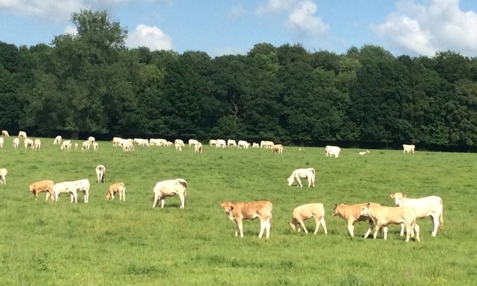 Walincourt-Selvigny Other | Ferme de Sorval – Your Private French Getaway with Nature & Luxury