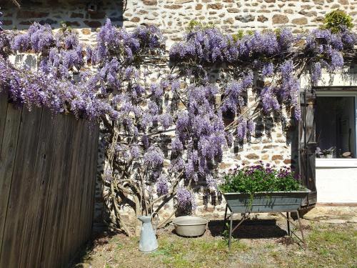 Ize House | Fermette dans les pays de la Loire