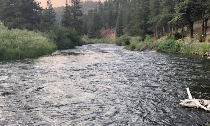 Lake George Cabin | “Fisherman’s Paradise – Cozy Log Cabin Near Gold Medal River, Forest Views”