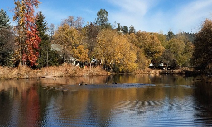 Soulsbyville Cabin | Five Bedroom Water Front Cabin