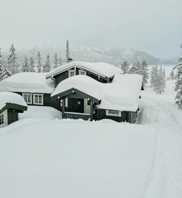Hjartdal House | Fjellhytte Med Utsikt Over Bonsenås