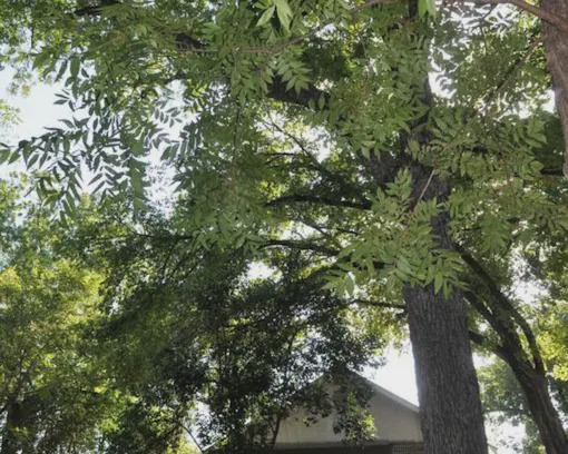 Llano Bed & Breakfast | Flossie's Cottage at Flossies Corner Bed And Breakfast