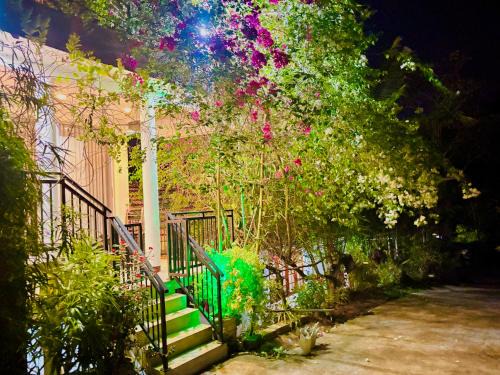 Weligama Villa | Flower Shade Villa