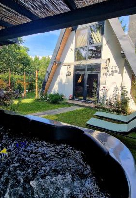 Porumbacu de Jos House | Forest A-frame-Porumbacu