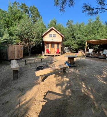 Langton House | Forest Bunkie Trails & Stargazing