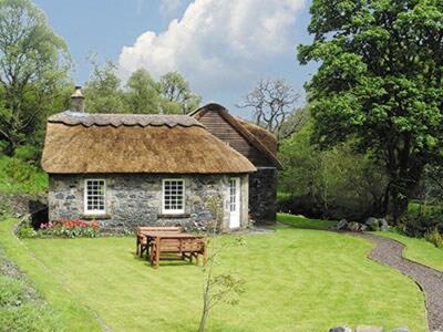 Dalmellington House | Forget Me Not - Skkz