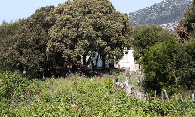 Kobas Apartment | Four bedroom apartment with terrace Cove Blaca, Mljet (A-615-a)