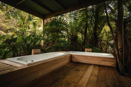 Franz Josef Glacier House | Franz Josef Treetops