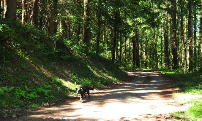 Montels Other | French Pyrenees 4bed 2 family home, national park.