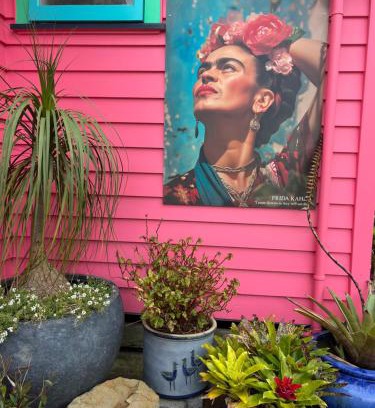 Raglan House | Fridas Accommodation