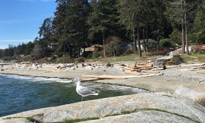 Sechelt House | Fun Suite between two waters