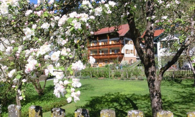 Steindorf am Ossiacher See Apartment | Gästehaus Struggl
