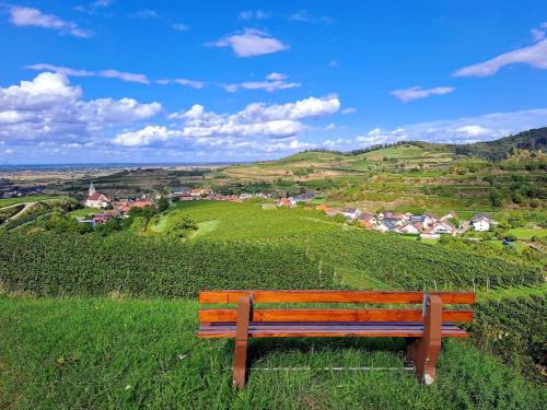 Kiechlinsbergen House | Gästehaus Weingut Mangel