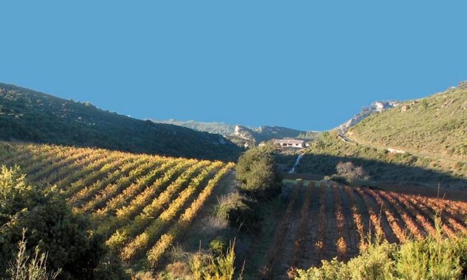 Fraisse-des-Corbieres Apartment | Gîte dans ancienne bergerie en pleine garrigue
