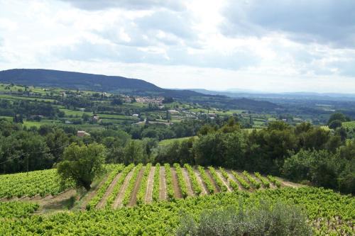 Villedieu House | Gîte en provence au coeur des vignes