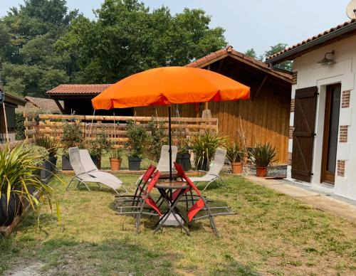 Pissos House | Gîte entre lacs, océan et forêts